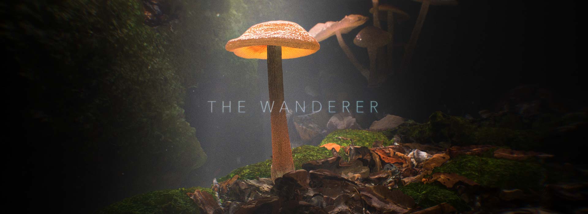 The Wanderer