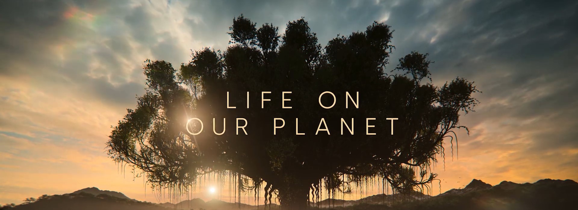 Life On Our Planet